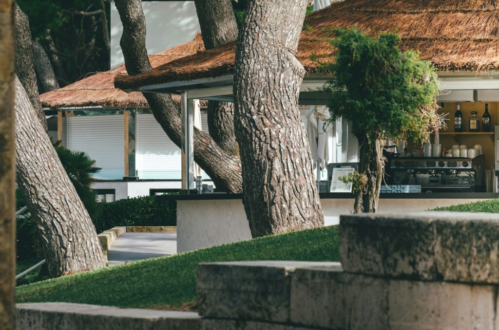 Large trees surrounding an outdoor kitchen